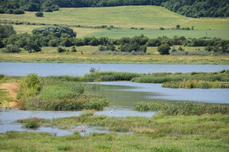 Ilustračný obrázok k článku Výdatné zrážky POMOHLI aj známej vodnej nádrži: Na KOĽKO % je naplnená Ružiná?