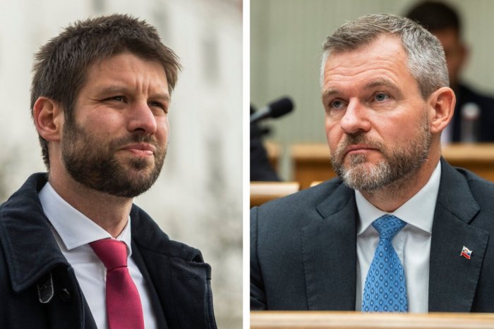 Ilustračný obrázok k článku Šimečka s Pellegrinim sa ZHODLI: S kým by po voľbách do koalície NEŠLI?