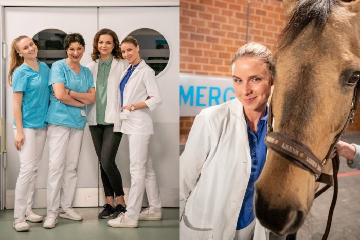 Ilustračný obrázok k článku Predzvesť konca NEMOCNICE? Jojka pripravuje NOVÝ seriál s jej tvorcami a hviezdami