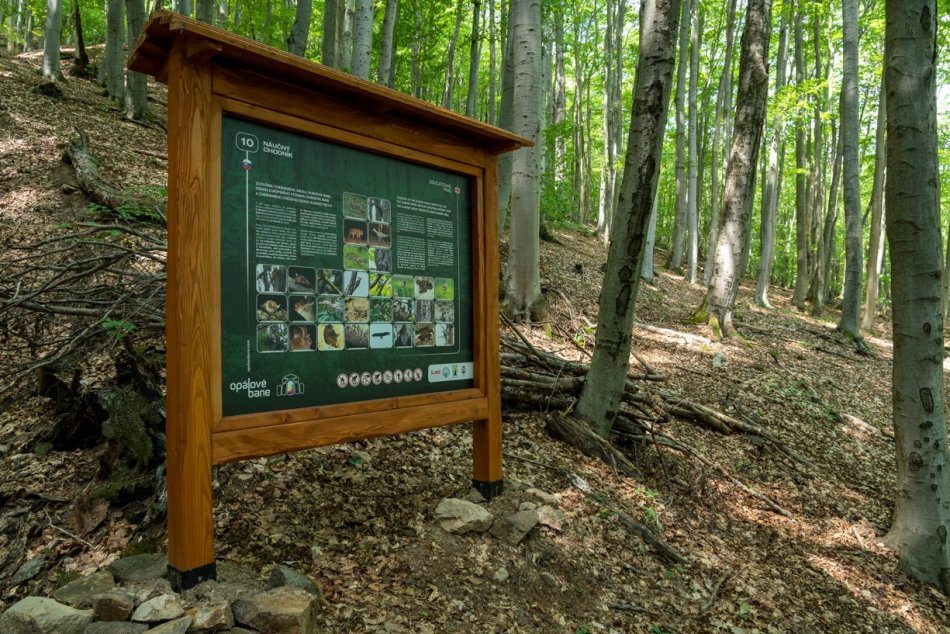 Ilustračný obrázok k článku Chránený areál Dubnických baní prichádza s NOVINKOU: Dozvieme sa viac o ťažbe opálu, FOTO