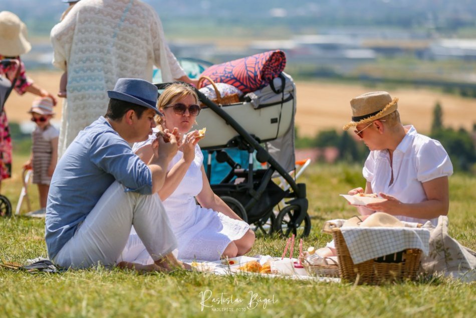 Ilustračný obrázok k článku Bez mäsa a mlieka, v Bystrici bude PASTVA: Ľudia si pochutnajú na VEGÁNSKYCH dobrotách