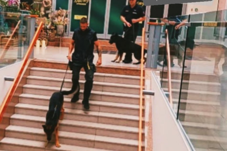Ilustračný obrázok k článku Bystrické nákupné centrum obsadili POLICAJNÉ psy: Dôvod však nebol vážny, FOTO