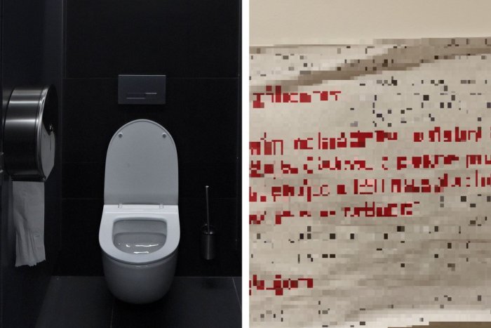 Ilustračný obrázok k článku KURIOZITA z nákupného centra: Oznam na dámskych WC zaplnili komentáre návštevníčok