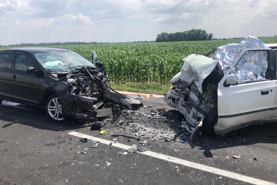 Ilustračný obrázok k článku TRAGICKÁ čelná zrážka: Vodičovi vbehla do cesty srna, strhol volant do protiidúceho auta