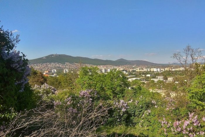 Ilustračný obrázok k článku Bývate v rodinnom dome? Mesto Nitra má pre vás dôležitú VÝZVU!