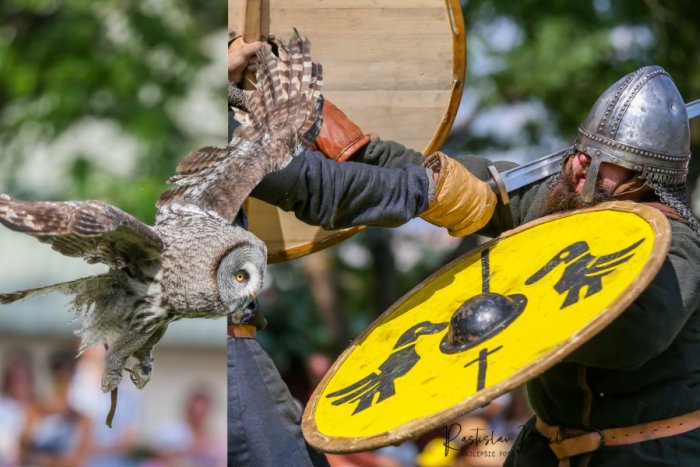 Ilustračný obrázok k článku Podhradie zaplnili davy zvedavcov: Prilákal ich festival Pribinova Nitrawa, FOTO