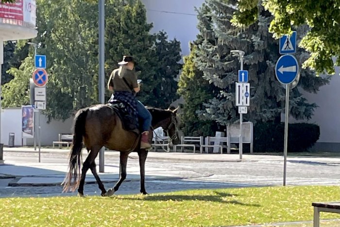 Ilustračný obrázok k článku Jazdkyňa na koni sa zatúlala na námestie: KURIÓZNU situáciu sprevádzali VULGARIZMY