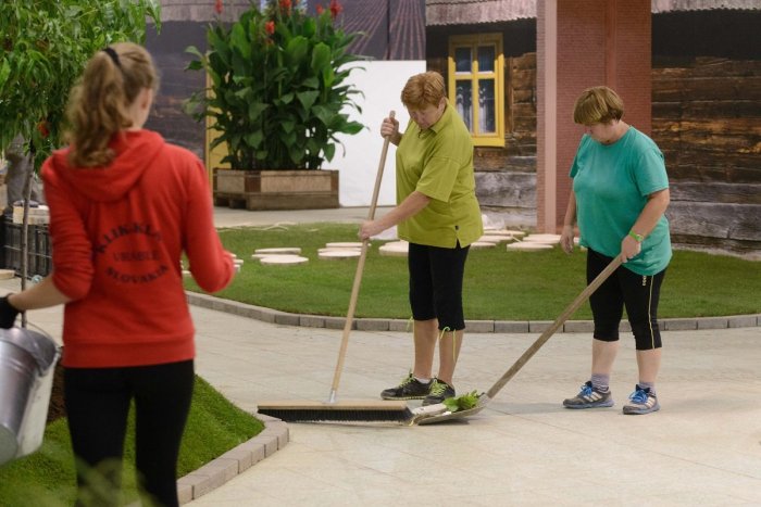 Ilustračný obrázok k článku Chcete si privyrobiť? Agrokomplex v Nitre hľadá brigádnikov na LETO