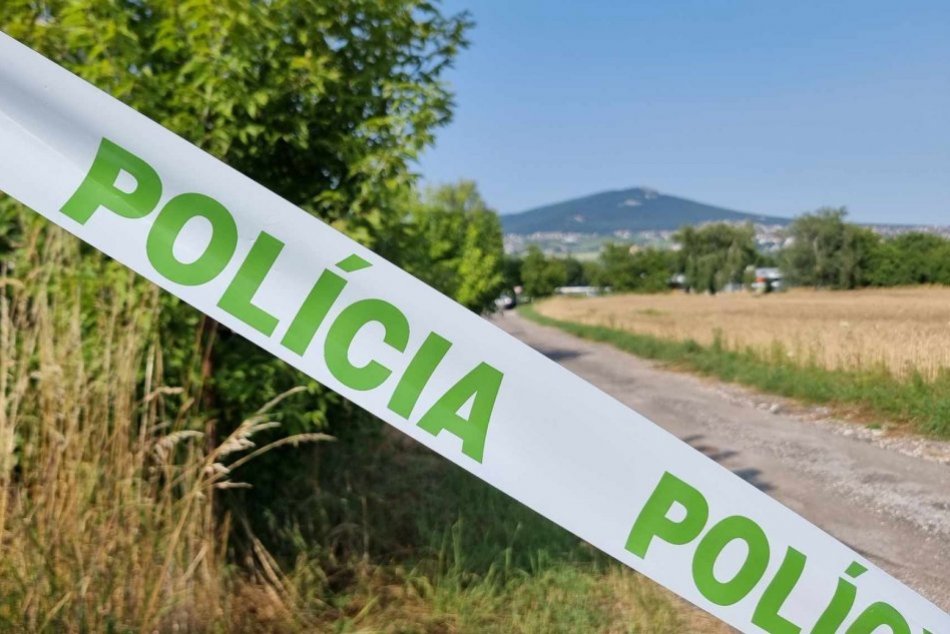 Ilustračný obrázok k článku Vražda v štádiu pokusu! Policajti obvinili muža, ktorý v Nitre DOBODAL svoju priateľku