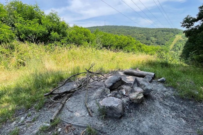 Ilustračný obrázok k článku Chystáte sa ísť do lesa OPEKAŤ? Máme pre vás smutnú správu: Je to zakázané!