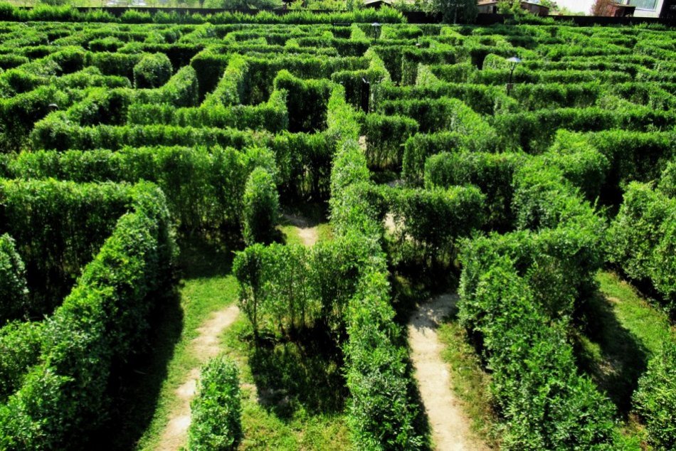 Ilustračný obrázok k článku BOLI SME v bludisku v Starej Ľubovni: Areál sa hľadá ťažko, no potom vás to bude baviť! FOTO