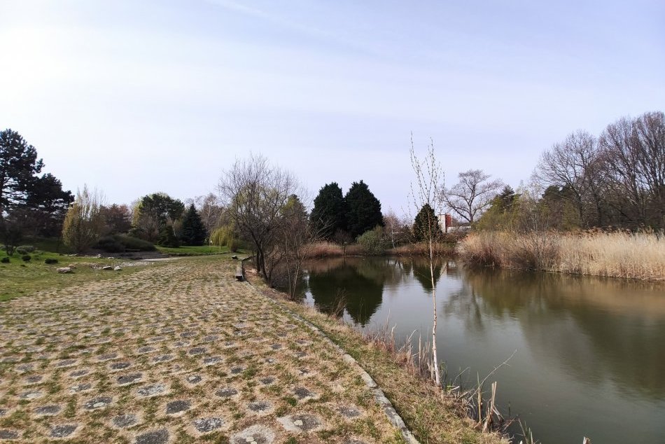 Ilustračný obrázok k článku Park Botanickej záhrady v Nitre je uzavretý: KEDY ho otvoria?