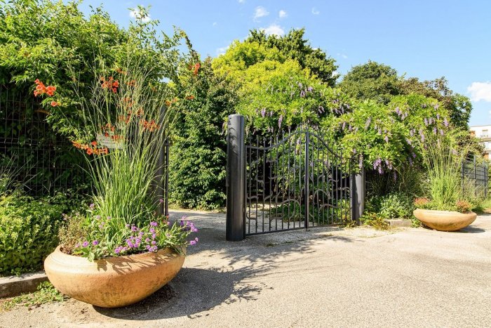 Ilustračný obrázok k článku Zelená oáza v centre mesta: Botanická záhrada v Nitre je otvorená aj cez prázdniny