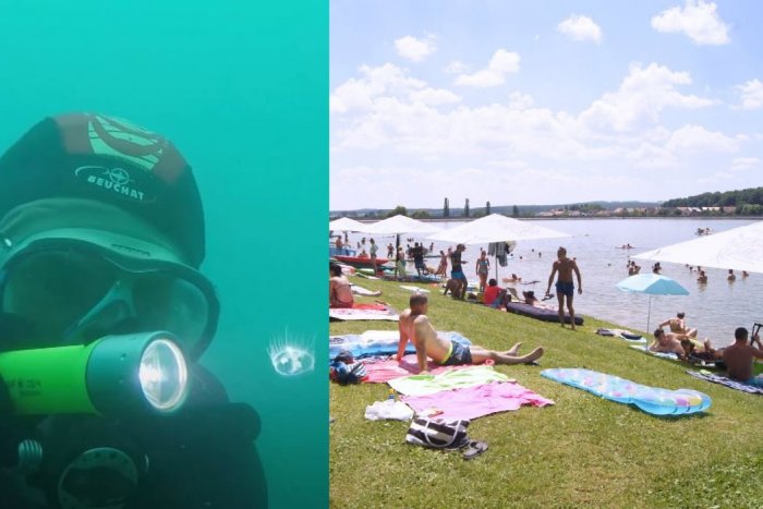 Ilustračný obrázok k článku Kúsok exotiky na Slovensku: V najteplejšej vodnej nádrži plávajú malé MEDÚZY