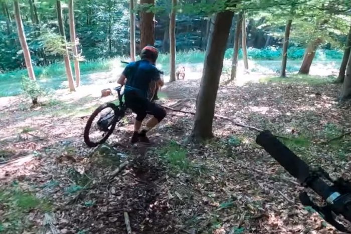 Ilustračný obrázok k článku Dvojica cyklistov zažila ŠOK: Rozzúrená MEDVEDICA vybehla priamo proti nim, VIDEO