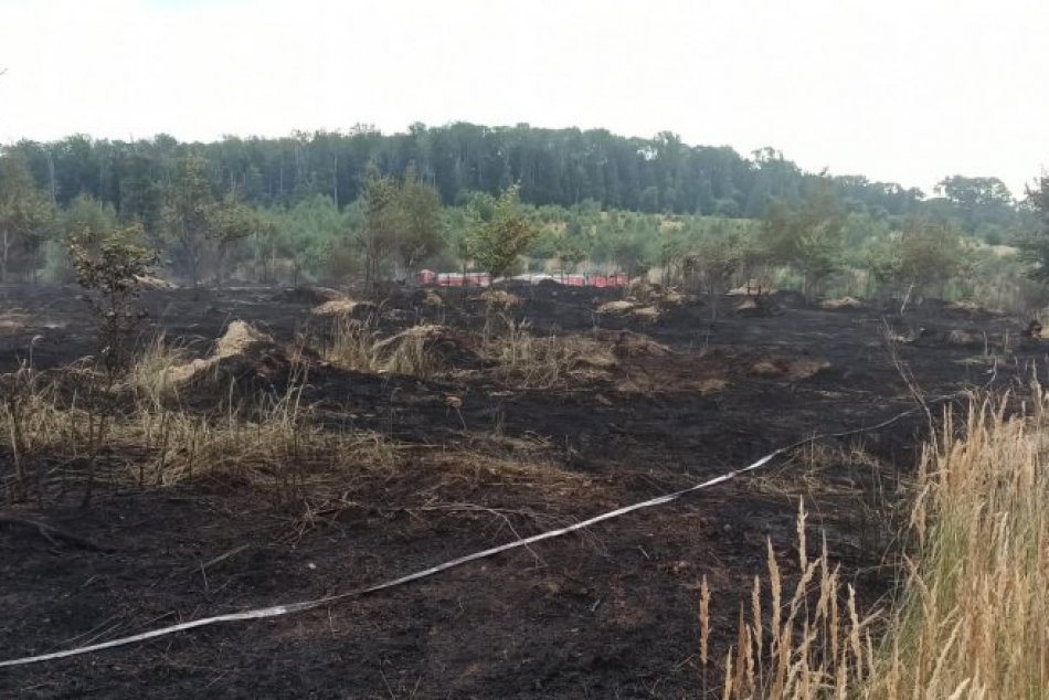 Ilustračný obrázok k článku POŽIAR už narobil problémy aj pri Bratislave: Takáto SPÚŠŤ zostala po ňom! FOTO