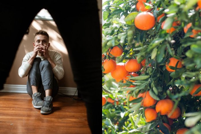 Ilustračný obrázok k článku Hľadáte si brigádu v zahraničí? BACHA! Hrozí, že sa stanete OBEŤOU obchodovania s ľuďmi