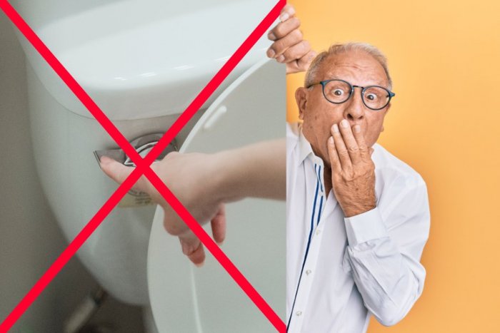 Ilustračný obrázok k článku Výber NAJŠIALENEJŠÍCH zákonov: Neuveríte, aké bizarnosti platia vo svete!