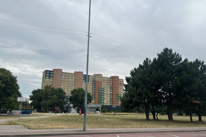 Ilustračný obrázok k článku TISÍCE drevín v Petržalke sa nekontrolovateľne šíria: Postupne sa ODSTRAŇUJÚ!