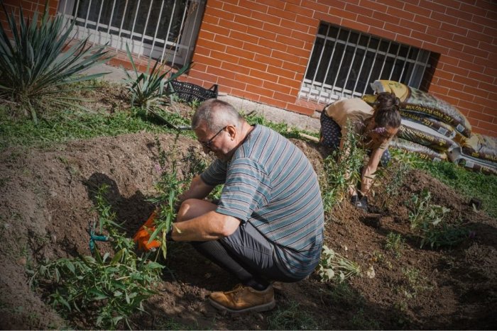 Ilustračný obrázok k článku Trend, za ktorého vznikom je počasie. Dobrovoľníci robia v Košiciach dažďové záhrady