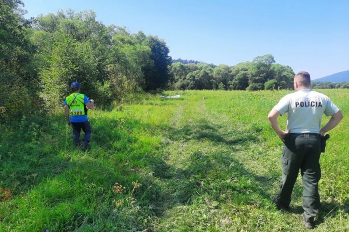 Ilustračný obrázok k článku Veľká PÁTRACIA akcia v srdci Slovenska: Mariána HĽADALI desiatky policajtov aj psovodi
