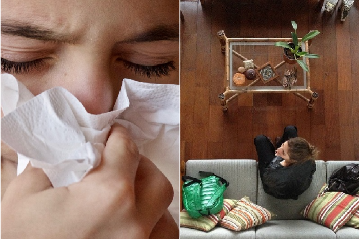 Ilustračný obrázok k článku Zbadali ste v dome tento drobný HMYZ? Je často predzvesťou TOXICKÉHO a škodlivého prostredia