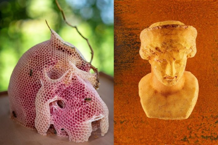 Ilustračný obrázok k článku SVET O SLOVENSKU: Na tvorbe famóznych diel spolupracuje slovenský umelec so VČELAMI!