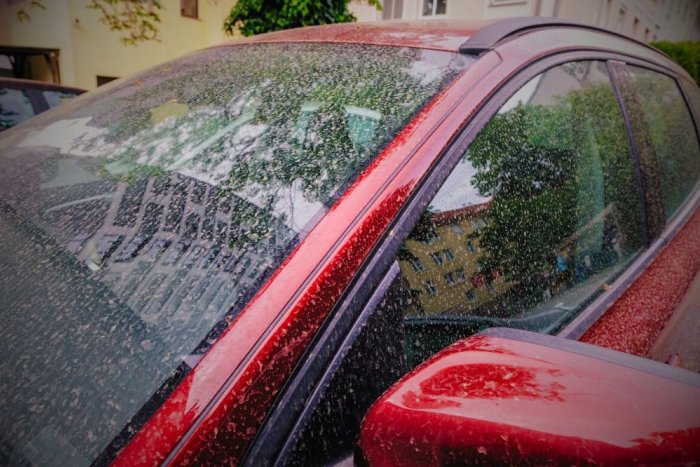 Ilustračný obrázok k článku Na Slovensku sa ROZPRŠÍ: Dážď prinesie aj SAHARSKÝ prach!