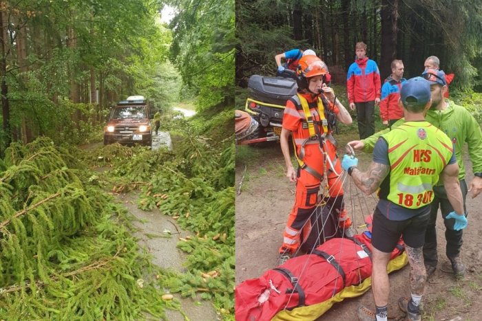 Ilustračný obrázok k článku Nešťastie počas búrky: Dievča vážne zranil padajúci konár