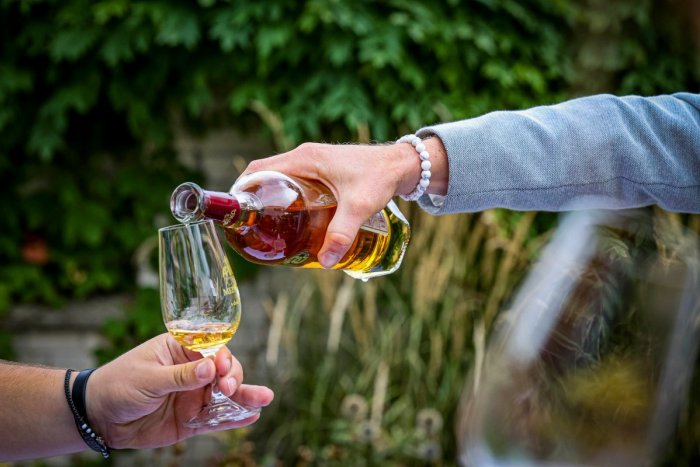 Ilustračný obrázok k článku Obrovský úspech: Medovina z trnavského regiónu patrí k NAJLEPŠÍM na svete