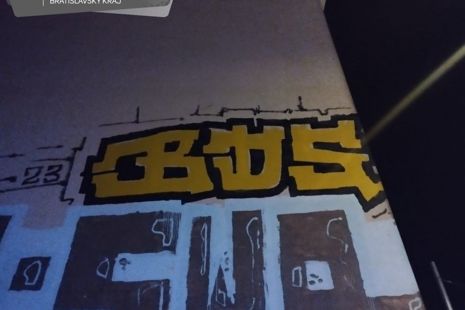 Ilustračný obrázok k článku Grafiťák Léon v Bratislave dosprejoval: Francúz pri ÚTEKU pred políciou spadol do šachty