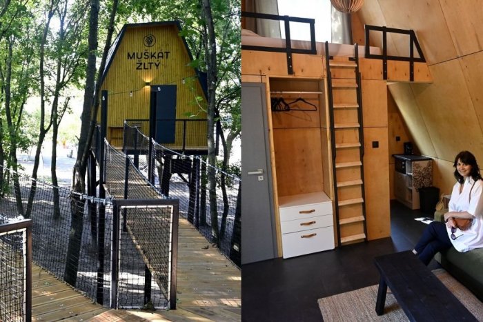 Ilustračný obrázok k článku Nová atrakcia v Košickom kraji: Tokajské domčeky v korunách stromov sľubujú jedinečné zážitky!