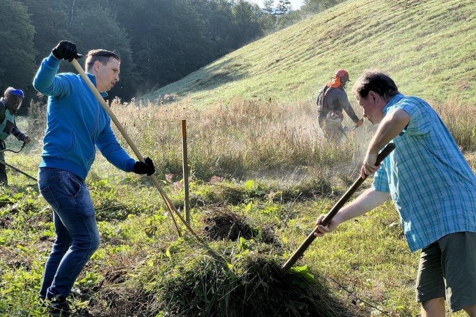 Ilustračný obrázok k článku Zásah proti INVÁZNYM rastlinám v Bystrici: Ľudí spojilo tradičné kosenie, FOTO