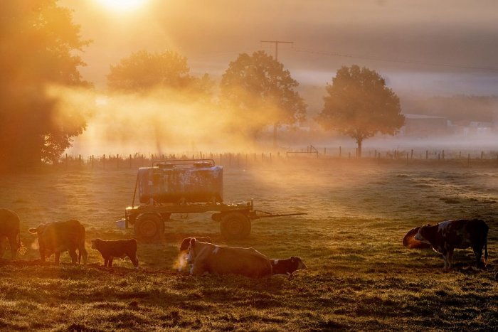 Ilustračný obrázok k článku Krásna, ale na cestách NEBEZPEČNÁ: Chladné rána sprevádzajú HMLY. Ktorý jav je nebezpečný?