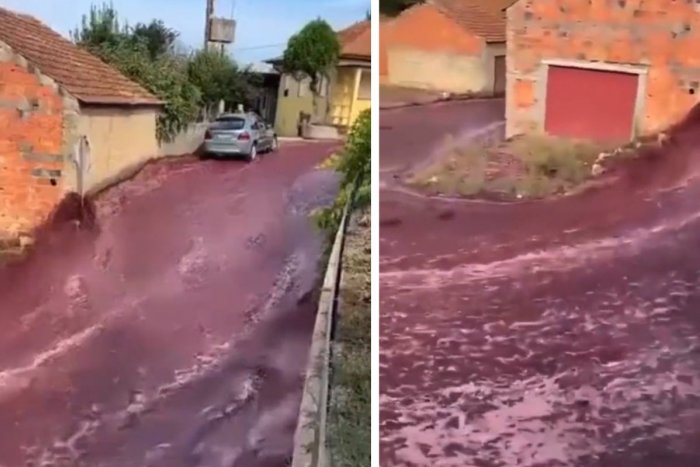 Ilustračný obrázok k článku KURIOZITA DŇA: Víno tieklo potokom! Ulicou sa valili DVA milióny litrov červeného nápoja