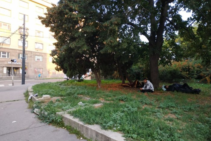 Ilustračný obrázok k článku Bratislavou sa potulujú STOVKY migrantov: Začína to byť KRITICKÉ a uzavrieť hranicu je nemožné