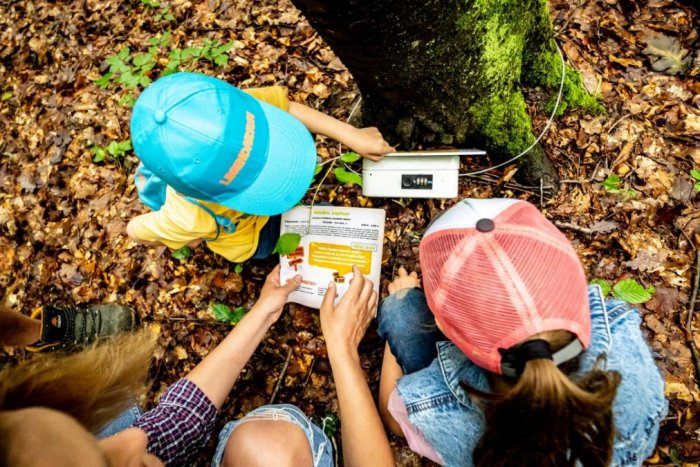 Ilustračný obrázok k článku TIP na víkend: Rozlúčka s letom bude na Šarišskom hrade aj s fakľovým sprievodom + PROGRAM