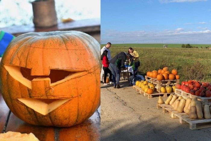 Ilustračný obrázok k článku Kde si nazbierať TEKVICE? Pri Nitre sa čoskoro začne prvý jesenný SAMOZBER