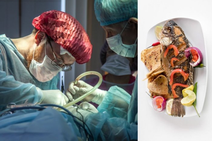 Ilustračný obrázok k článku Zjedla obľúbenú rybu, bojuje o život! Laure museli AMPUTOVAŤ všetky končatiny