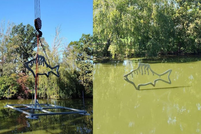 Ilustračný obrázok k článku Pri prechádzke parkom môžete obdivovať NOVINKU: V jazierku pribudla ryba Lucia, FOTO