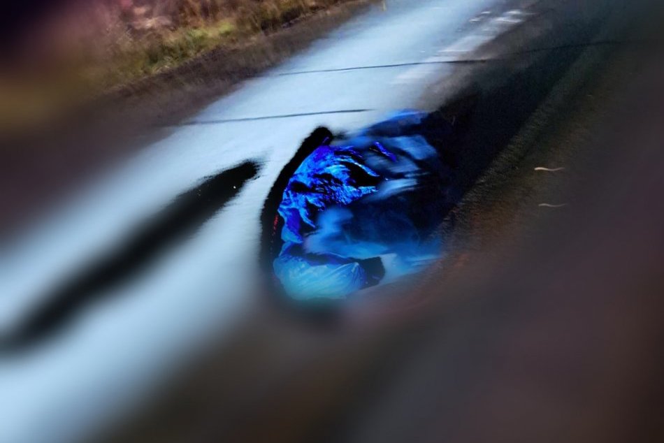 Ilustračný obrázok k článku TRAGÉDIA na juhu Slovenska: Chodec preletel ponad auto, zrážku NEPREŽIL, FOTO