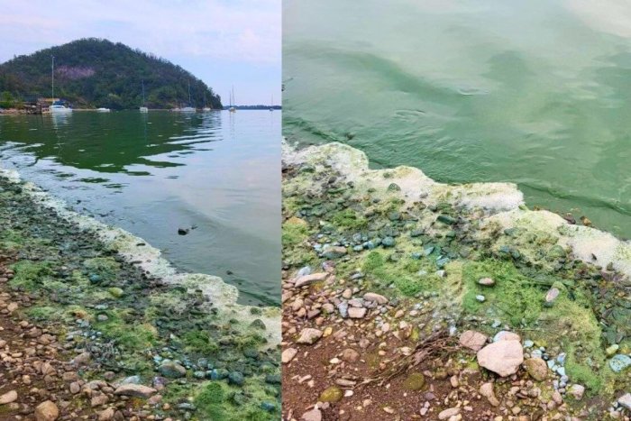 Ilustračný obrázok k článku Zaskočená návštevníčka Zemplínskej šíravy: Čo sa stalo s vodou? Kamene sfarbuje na modro