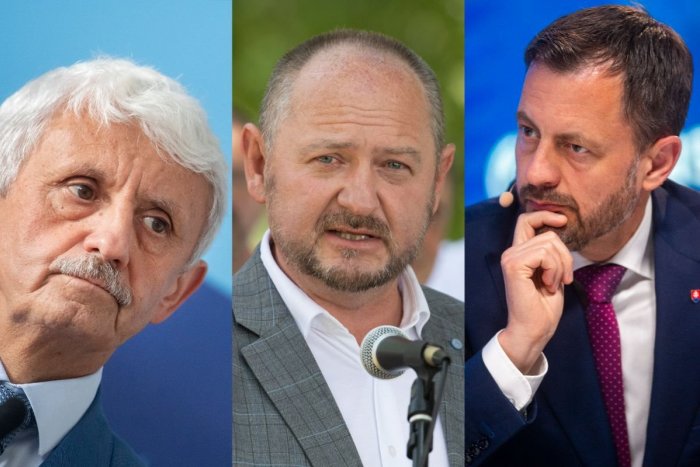 Ilustračný obrázok k článku Strany známych politikov POHORELI: Peniaze od štátu nedostanú a na krku majú VERITEĽOV