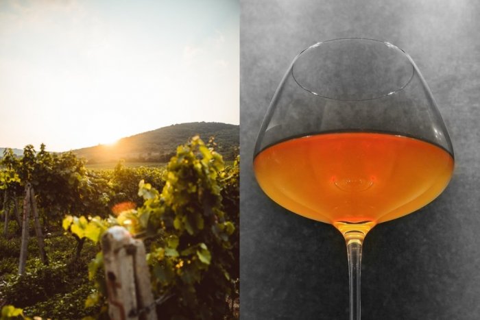 Ilustračný obrázok k článku Každý chce ochutnať ORANŽOVÉ víno: Stáva sa čoraz populárnejším! Odkiaľ sa berie jeho farba?