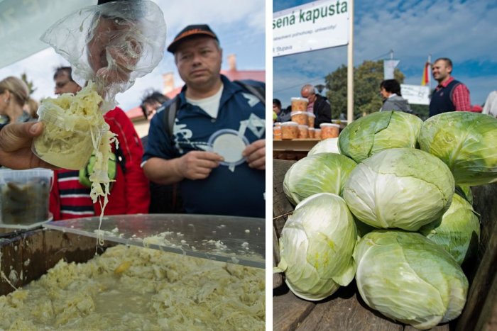 Ilustračný obrázok k článku V Stupave odštartovali obľúbené DNI ZELÁ: Lákajú na dobroty, atrakcie a bohatý PROGRAM