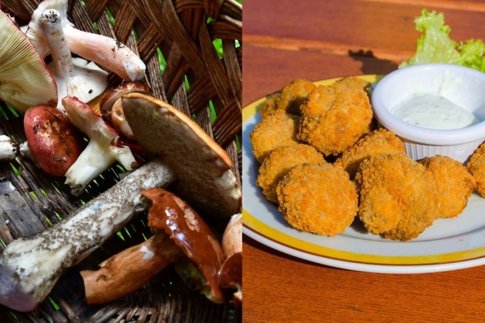 Ilustračný obrázok k článku Nevedeli ste sa dočkať HUBOVEJ sezóny? 5 netradičných jedál, ktoré stojí za to vyskúšať