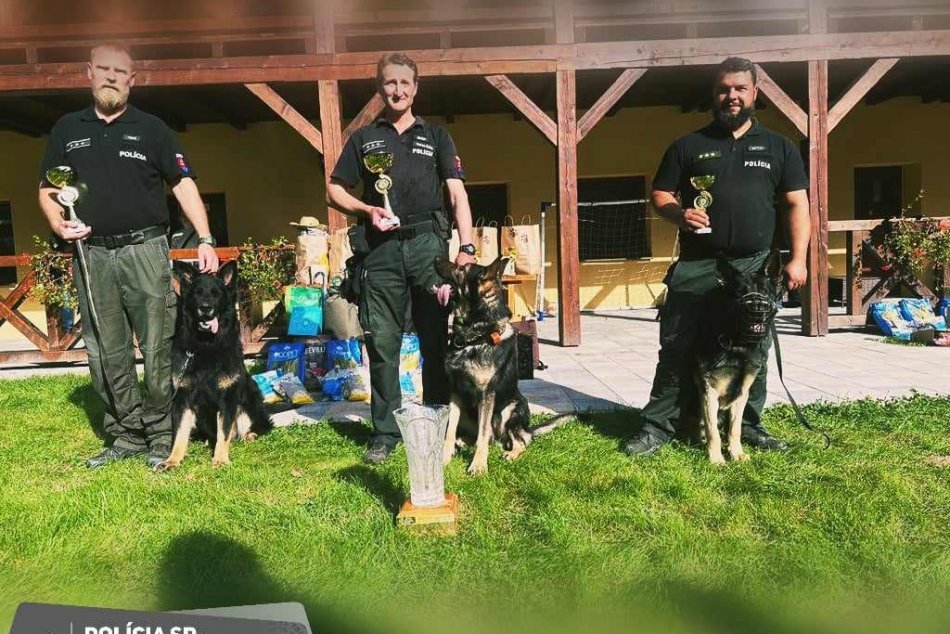Ilustračný obrázok k článku Štvornohí POLICAJTI si zmerali svoje sily: Spoznali sme TROJICU najlepších, FOTO