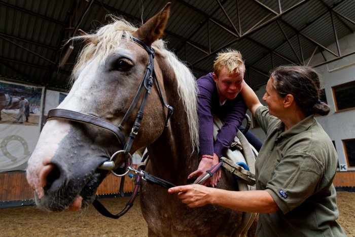 Ilustračný obrázok k článku Získajte grant od Tesca, vítaný je každý projekt pre zlepšenie života na Slovensku