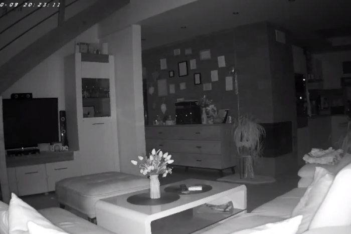 Ilustračný obrázok k článku VIDEO z okresu Vranova nad Topľou obletelo Facebook: Zaznamenalo zemetrasenie v dome