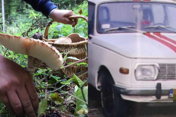 Ilustračný obrázok k článku Hubár narazil v lese na historický Wartburg, ktorý ukrýval smutné tajomstvo: DESIVÝ objav!